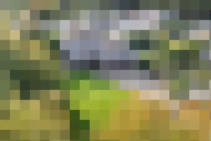Bezelhorstweg 2 Doetinchem thumbnail 70