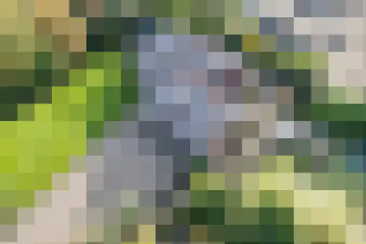 Bezelhorstweg 2 Doetinchem thumbnail 71