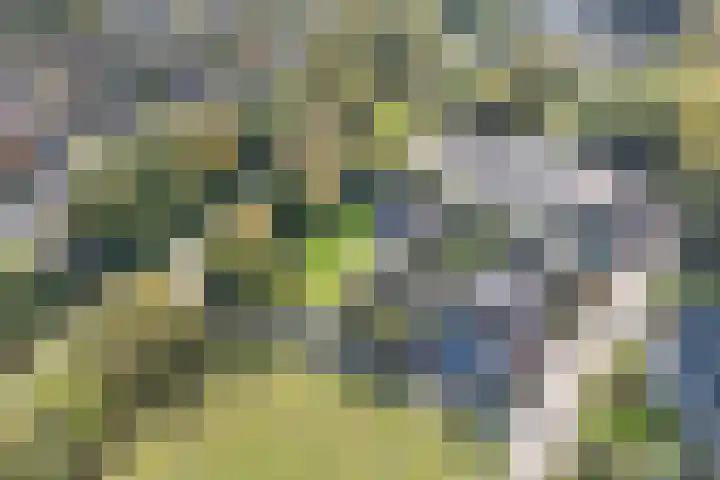 Bezelhorstweg 2 Doetinchem thumbnail 72