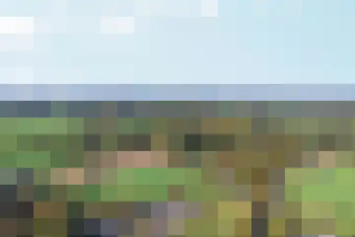 Bezelhorstweg 2 Doetinchem thumbnail 73