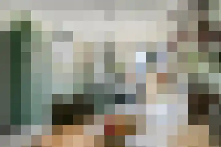 Bezembinder 15 Nederweert thumbnail 10