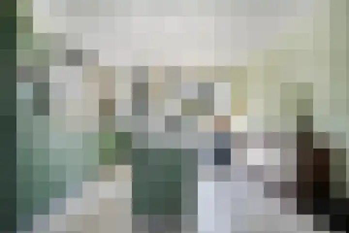 Bezembinder 15 Nederweert thumbnail 11