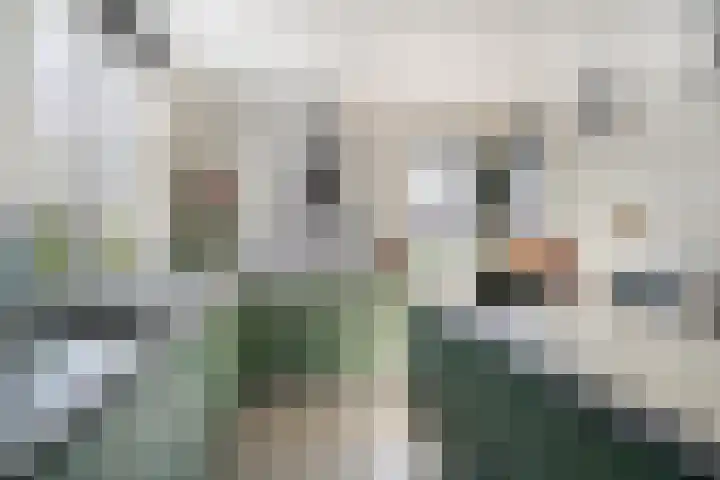 Bezembinder 15 Nederweert thumbnail 12