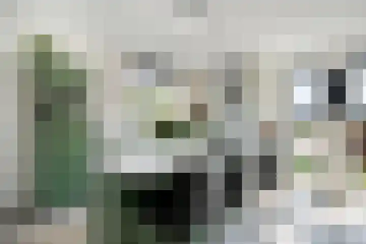 Bezembinder 15 Nederweert thumbnail 13