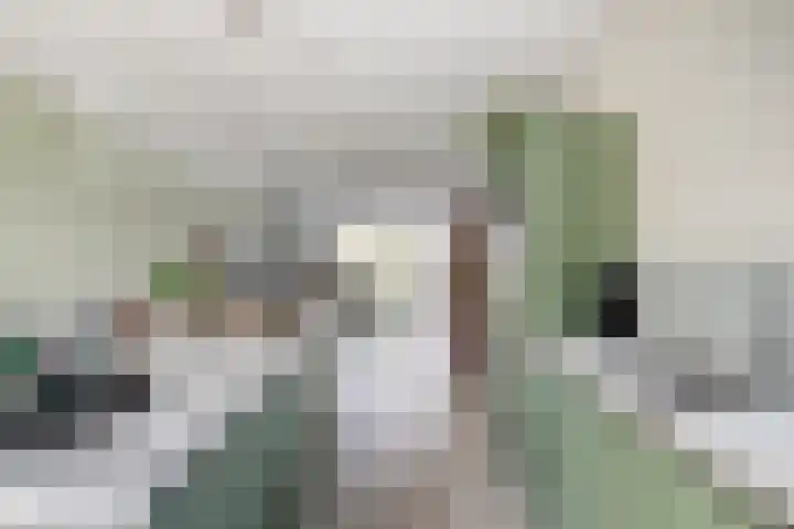 Bezembinder 15 Nederweert thumbnail 14