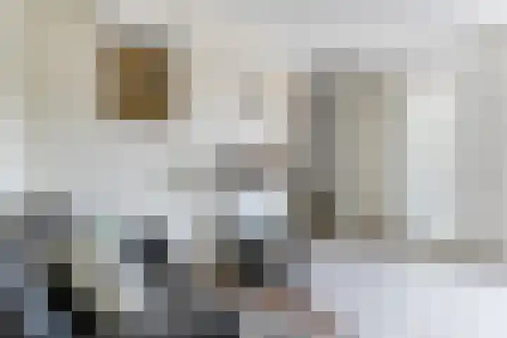Bezembinder 15 Nederweert thumbnail 16