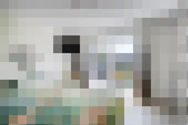 Bezembinder 15 Nederweert thumbnail 19