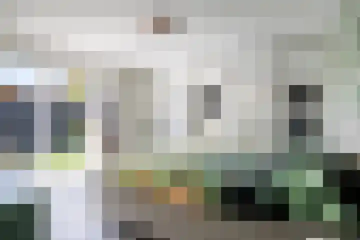 Bezembinder 15 Nederweert thumbnail 20