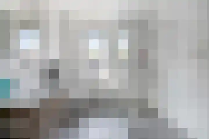Bezembinder 15 Nederweert thumbnail 21