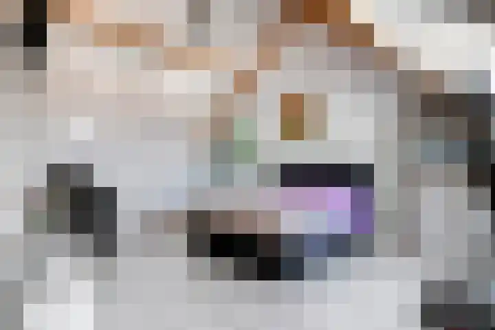 Bezembinder 15 Nederweert thumbnail 22