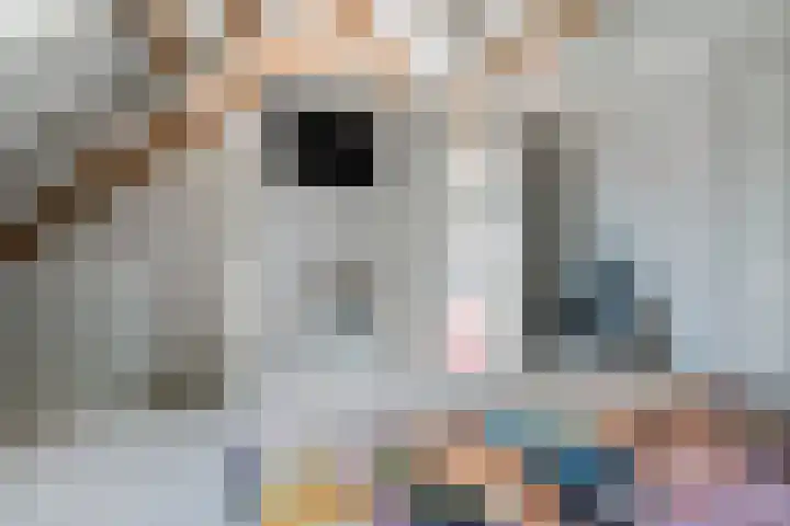 Bezembinder 15 Nederweert thumbnail 24