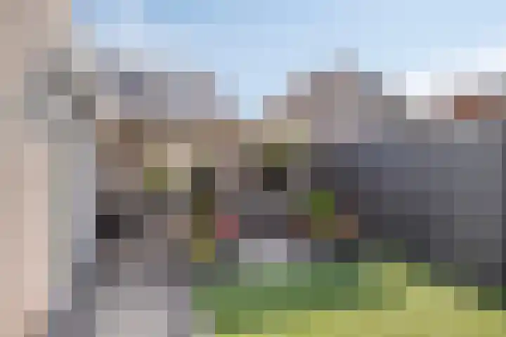 Bezembinder 15 Nederweert thumbnail 26