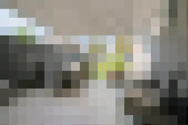Bezembinder 15 Nederweert thumbnail 27