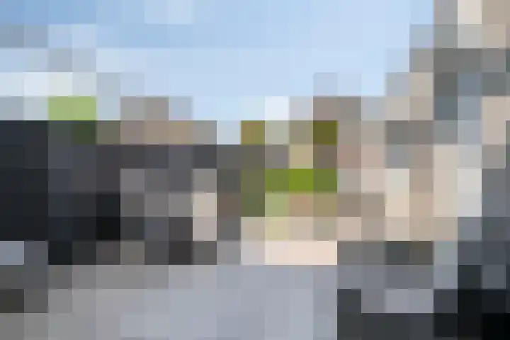 Bezembinder 15 Nederweert thumbnail 28
