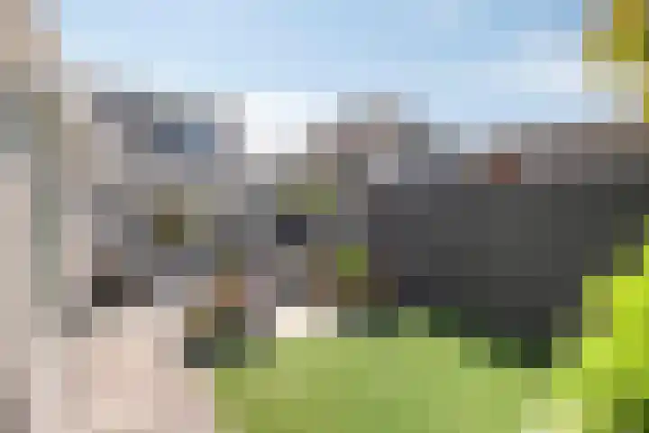Bezembinder 15 Nederweert thumbnail 30