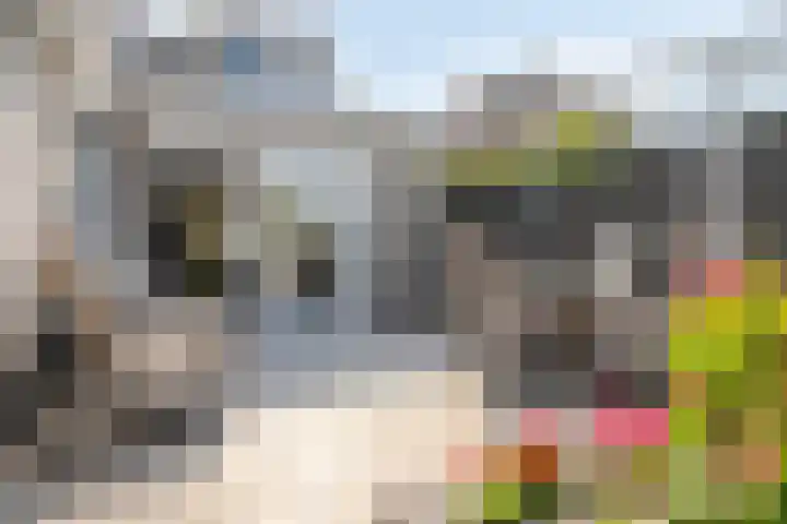 Bezembinder 15 Nederweert thumbnail 32