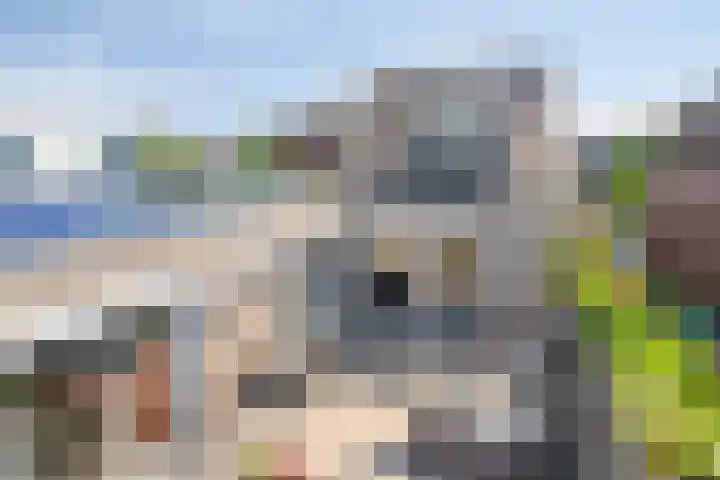 Bezembinder 15 Nederweert thumbnail 33