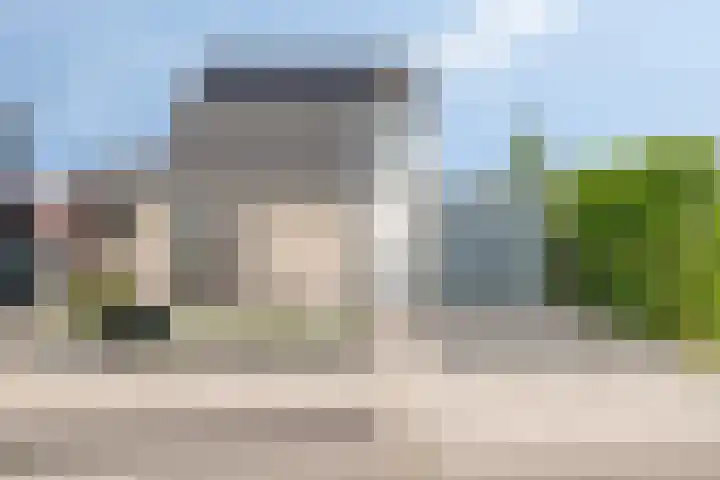 Bezembinder 15 Nederweert thumbnail 34