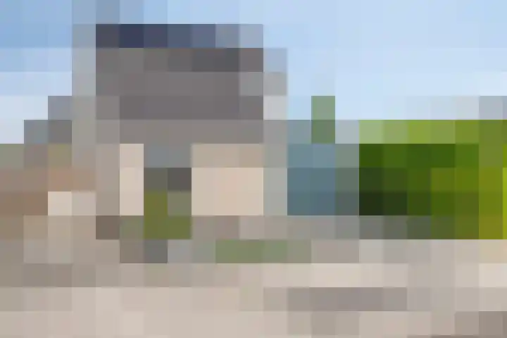 Bezembinder 15 Nederweert thumbnail 35