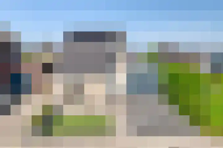 Bezembinder 15 Nederweert thumbnail 36