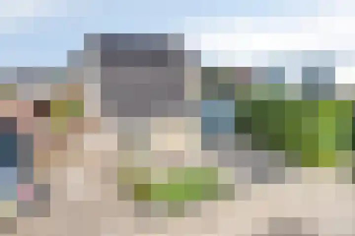 Bezembinder 15 Nederweert thumbnail 38