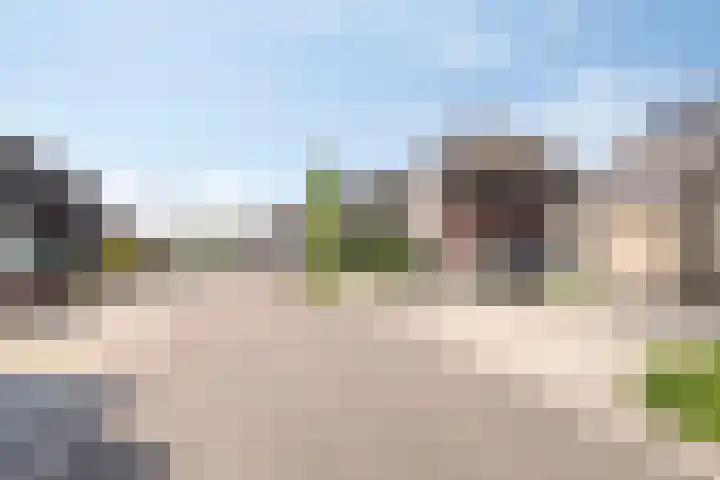 Bezembinder 15 Nederweert thumbnail 39