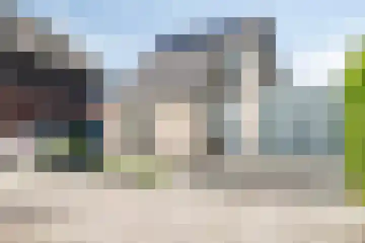 Bezembinder 15 Nederweert thumbnail 4