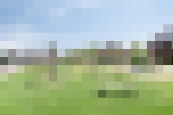 Bezembinder 15 Nederweert thumbnail 40