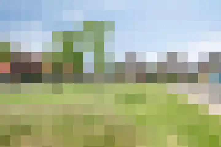 Bezembinder 15 Nederweert thumbnail 41