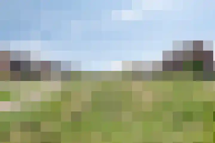 Bezembinder 15 Nederweert thumbnail 42