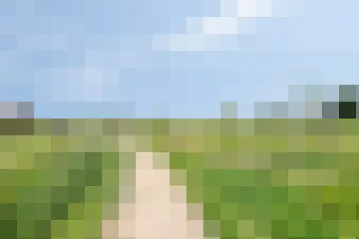 Bezembinder 15 Nederweert thumbnail 43