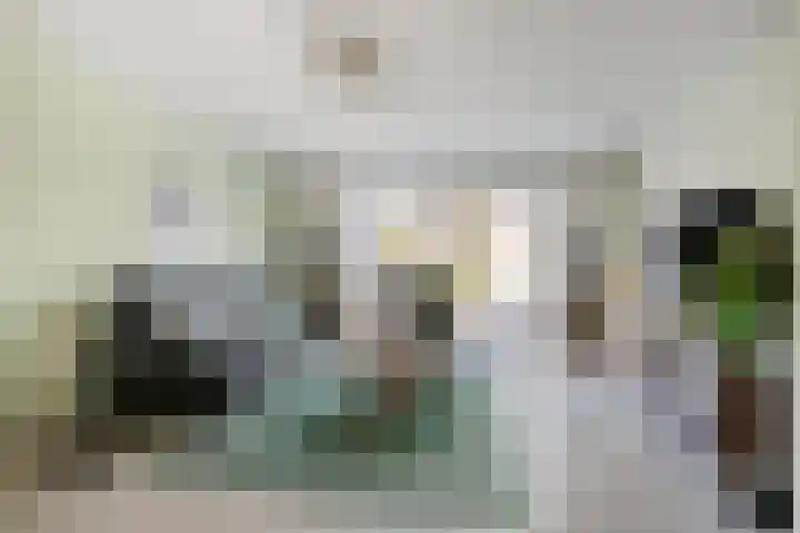 Bezembinder 15 Nederweert thumbnail 7