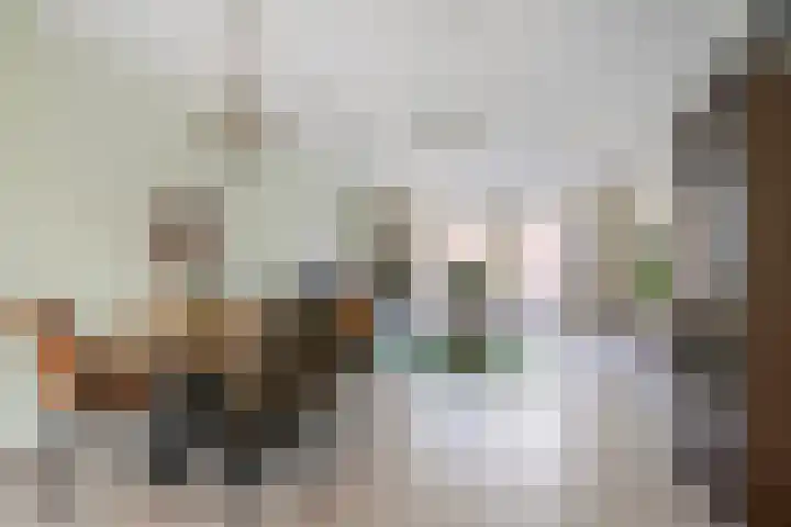 Bezembinder 15 Nederweert thumbnail 8