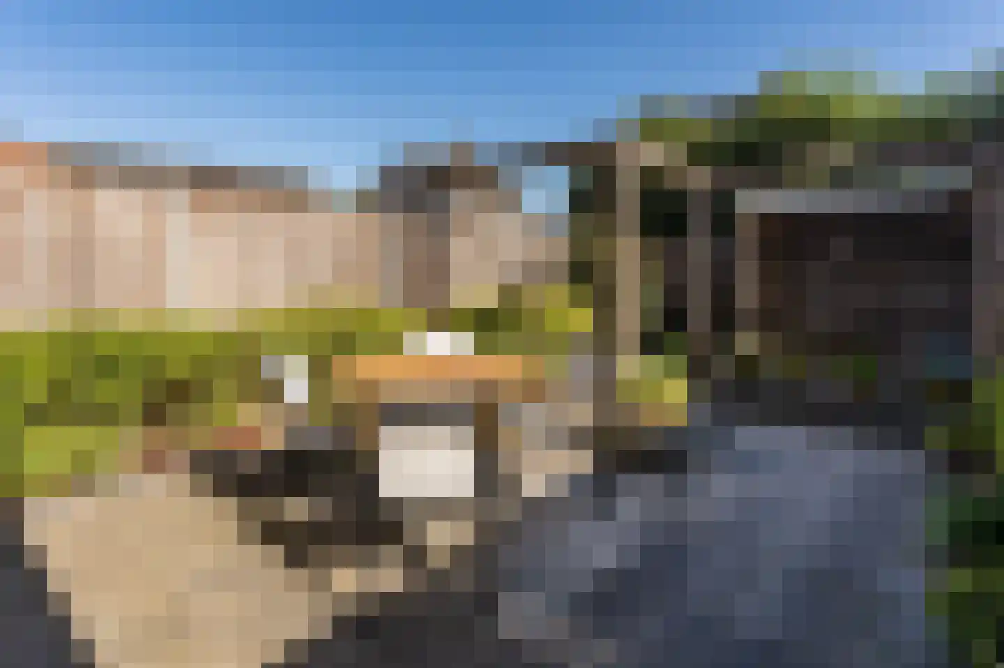 Bezembinder 17 Groesbeek thumbnail 32