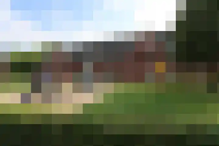 Bezembinder 26 Groesbeek thumbnail 6