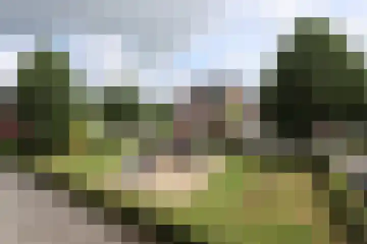 Bezembinder 26 Groesbeek thumbnail 8