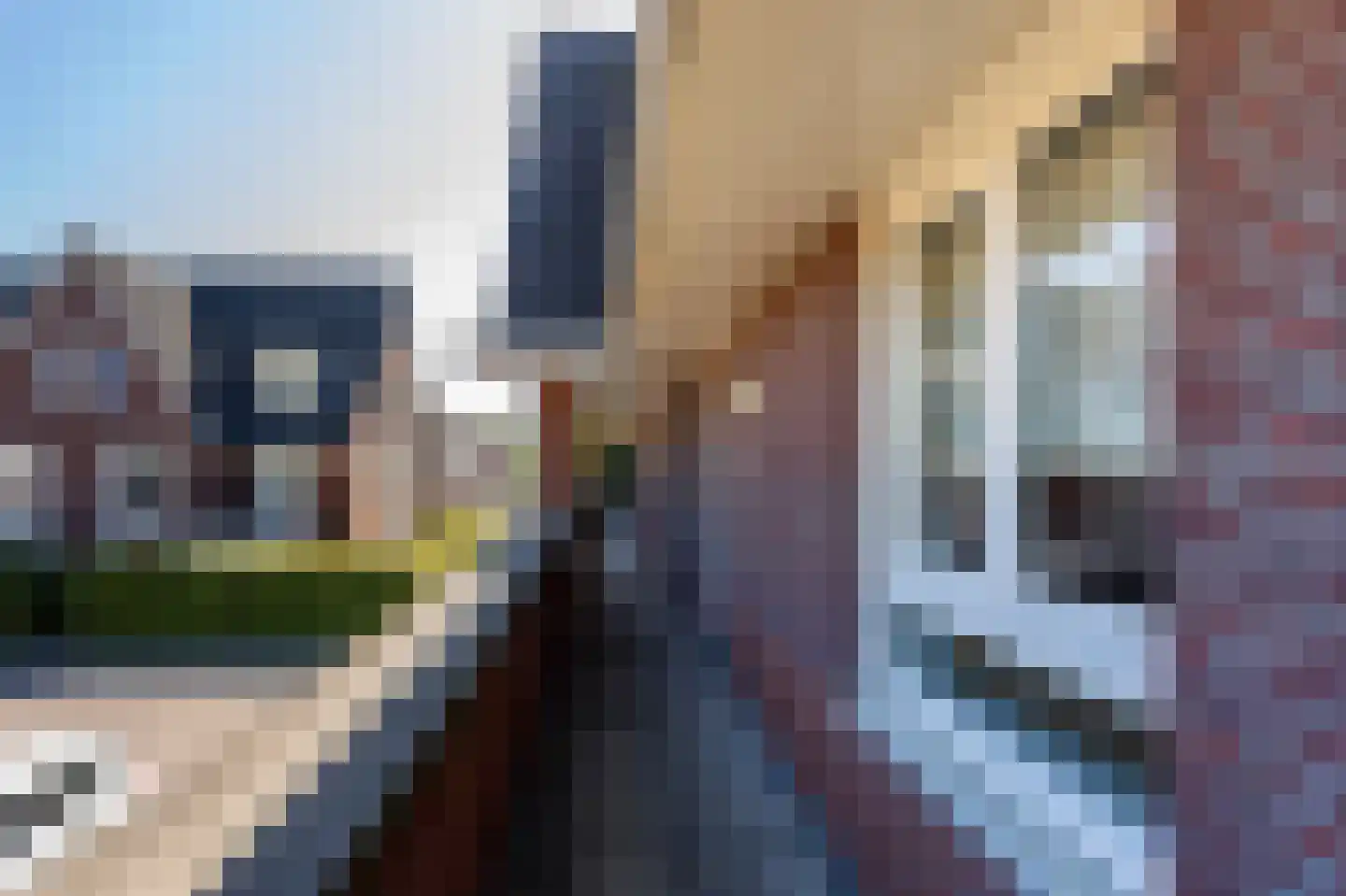 Bezembinder 28 Groesbeek thumbnail 25