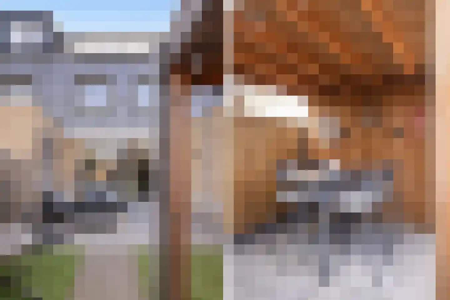 Bezembinder 31 Hendrik-Ido-Ambacht thumbnail 23