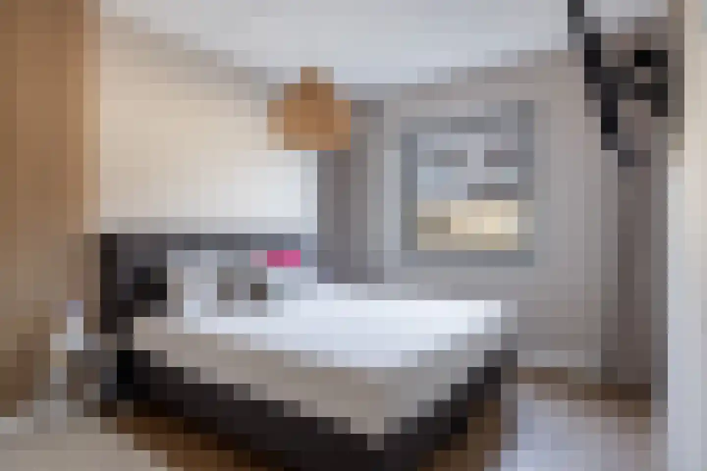 Bezembinder 31 Hendrik-Ido-Ambacht thumbnail 25