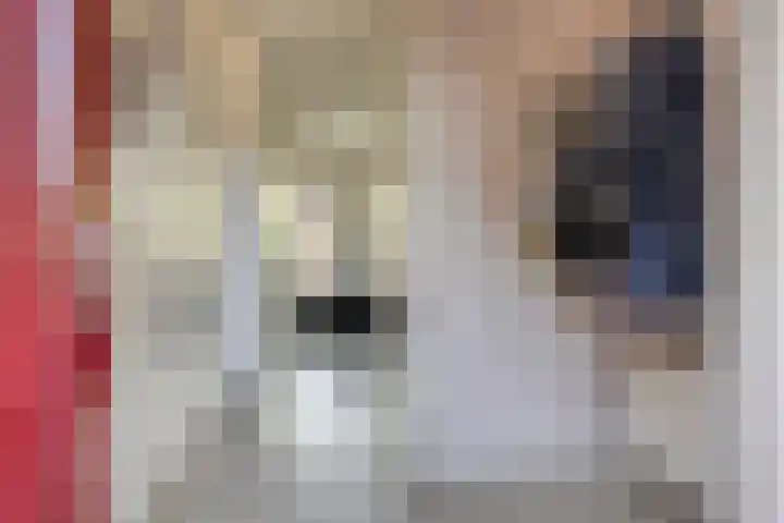 Bezembinder 32 Groesbeek thumbnail 12