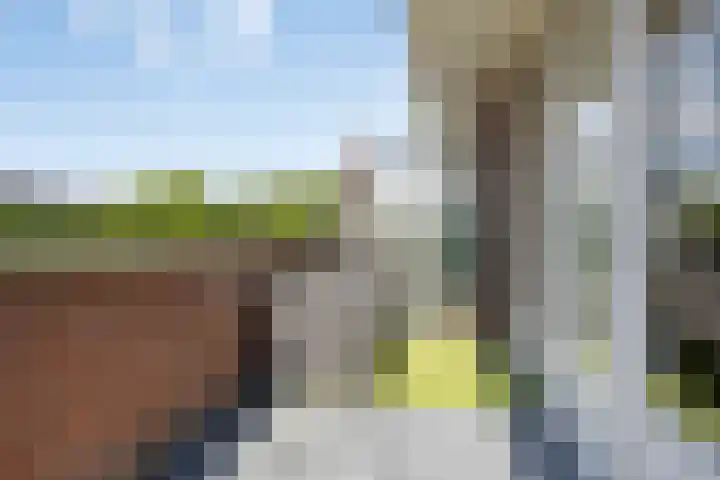 Bezembinder 32 Groesbeek thumbnail 25