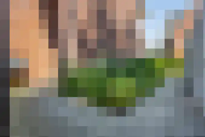 Bezembinder 32 Groesbeek thumbnail 28