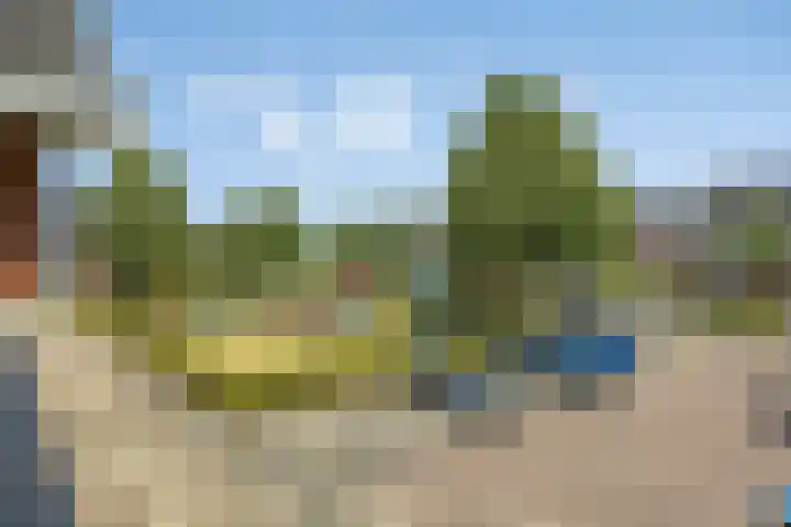 Bezembinder 32 Groesbeek thumbnail 30