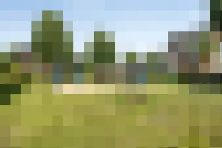 Bezembinder 32 Groesbeek thumbnail 33
