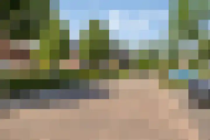 Bezembinder 32 Groesbeek thumbnail 34