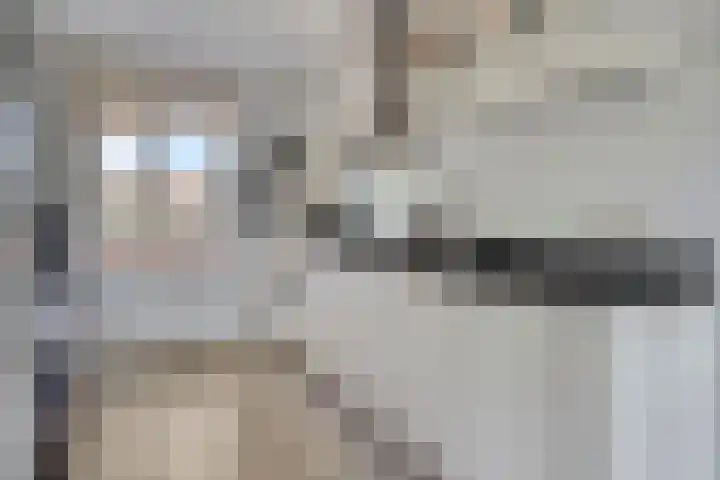 Bezembinder 32 Groesbeek thumbnail 7