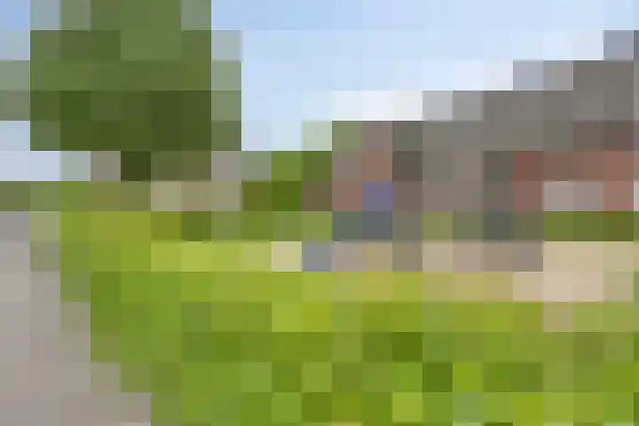 Bezembinder 44 Groesbeek thumbnail 17