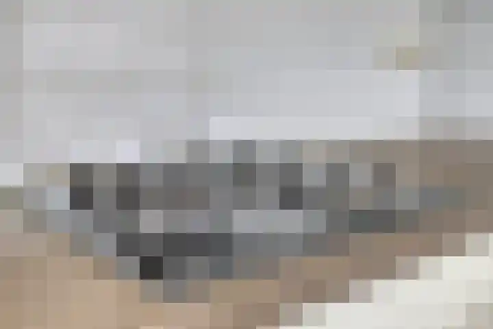 Bezembinder 44 Groesbeek thumbnail 8
