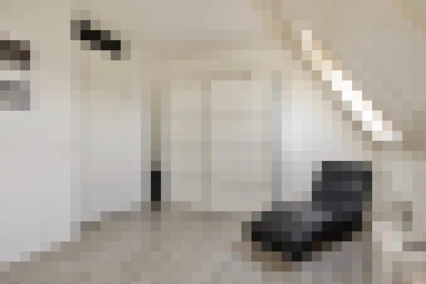 Bezembinder 47 Groesbeek thumbnail 15
