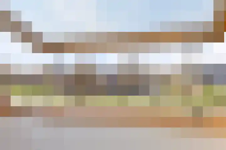 Bezembinder 47 Groesbeek thumbnail 21